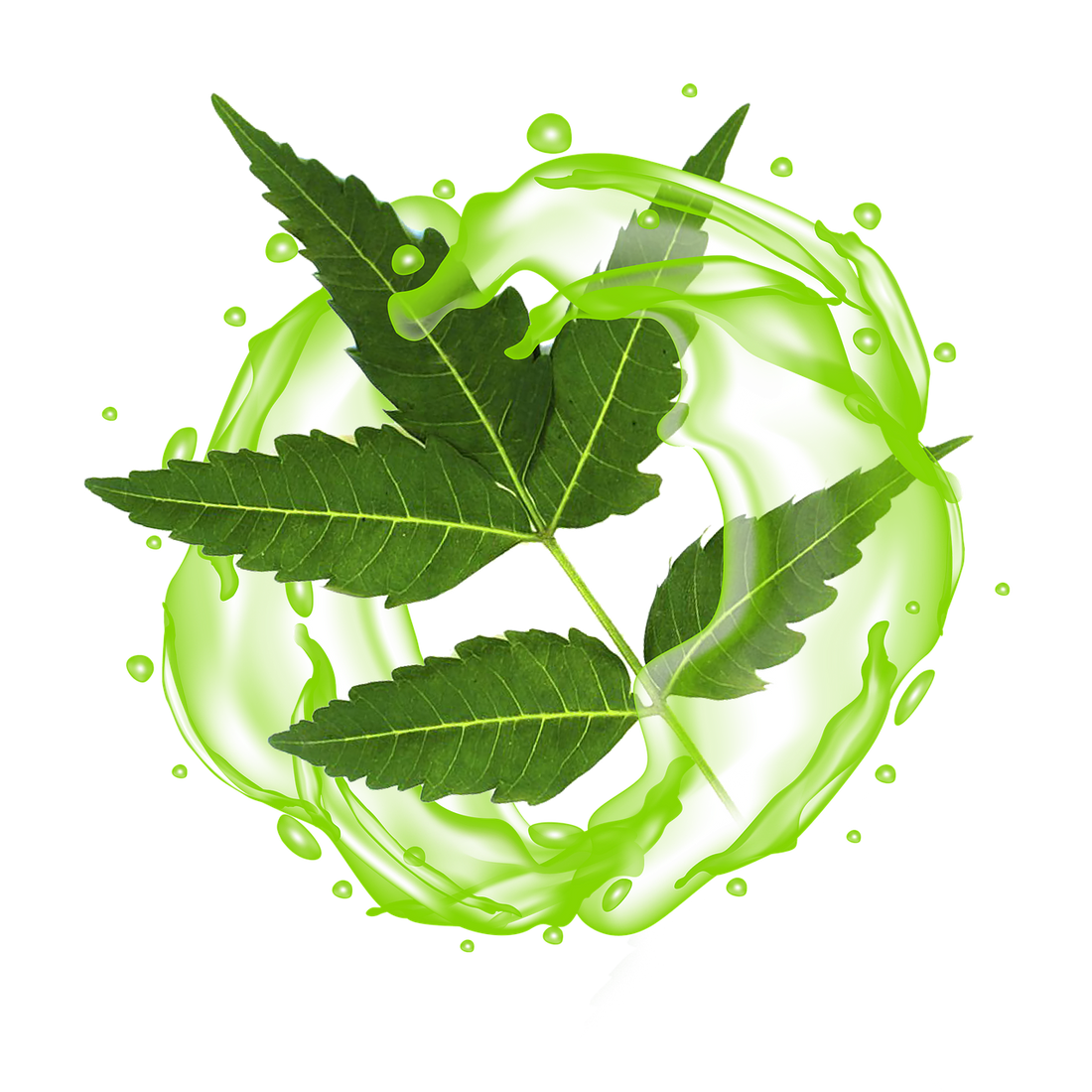 The Importance Of Neem In Ayurvedic Skincare Practices