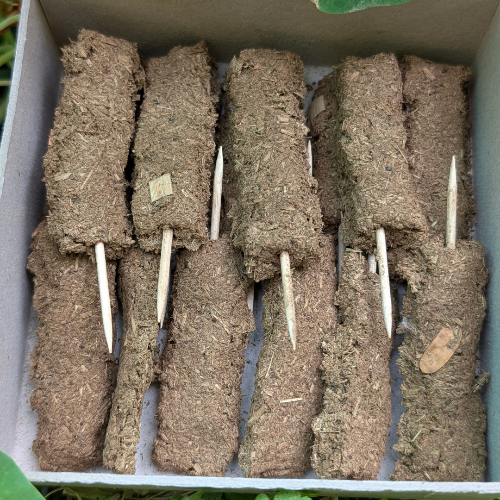 Suddhika – Purifying Every Corner (Herbal Cow Dung Dhoop Sticks)
