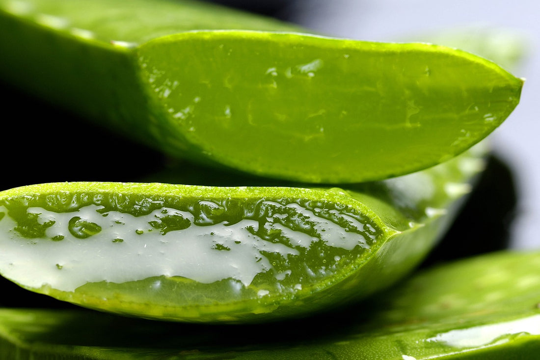 The Wonders of Aloe Vera: Health and Beauty Benefits in Soaps