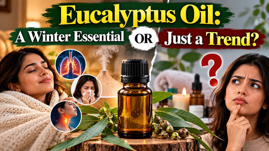Eucalyptus Oil: A Winter Essential or Just a Trend?