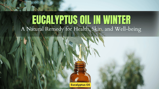 Eucalyptus Oil in Winter: A Natural Remedy for Health, Skin, and Well-being
